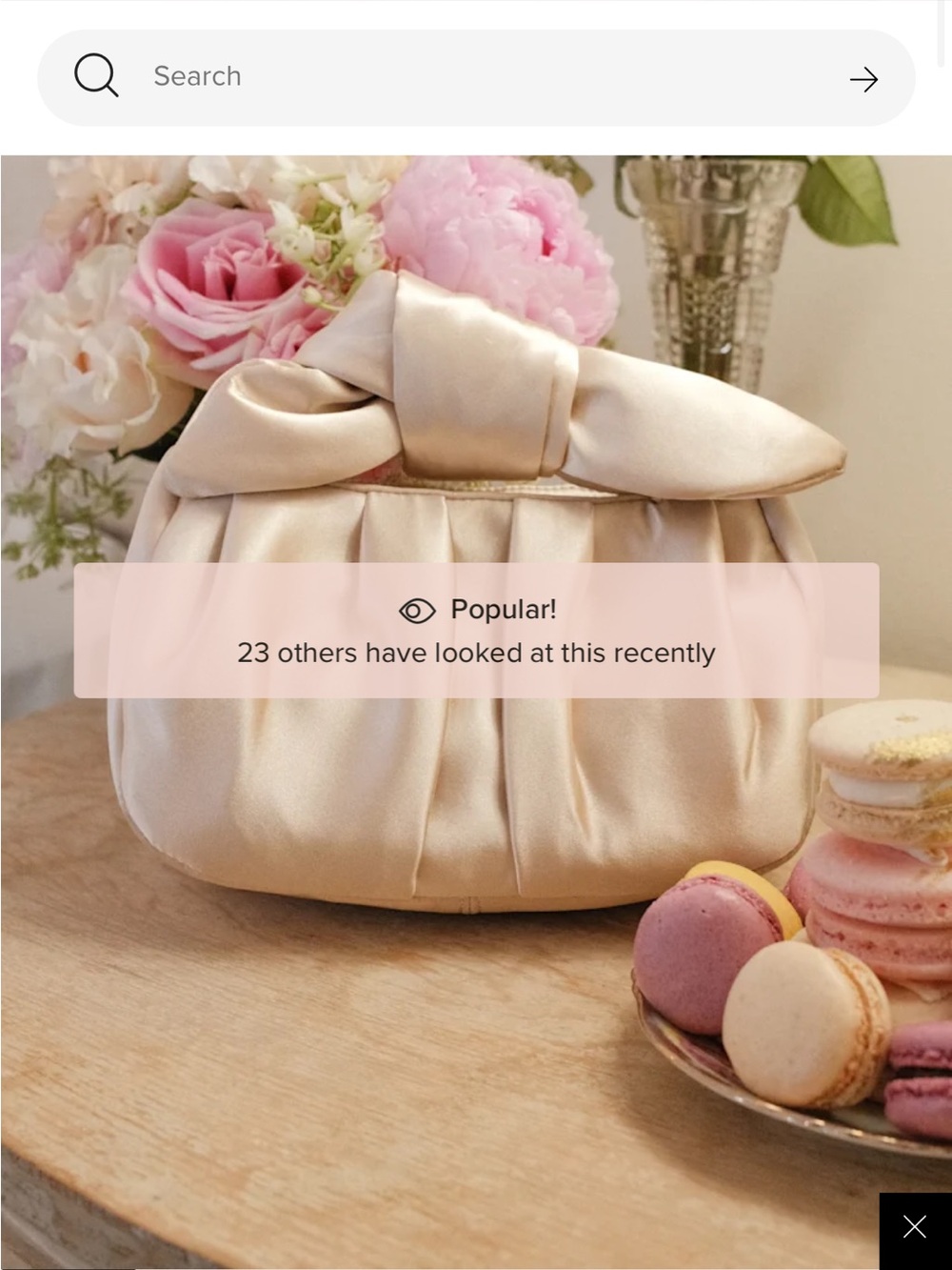 Elegant Satin Bow Clutch Handbag in Champagne
